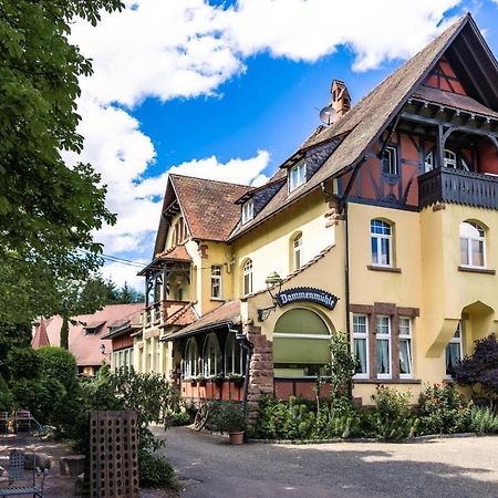 Hotel Dammenmuehle Lahr  Esterno foto